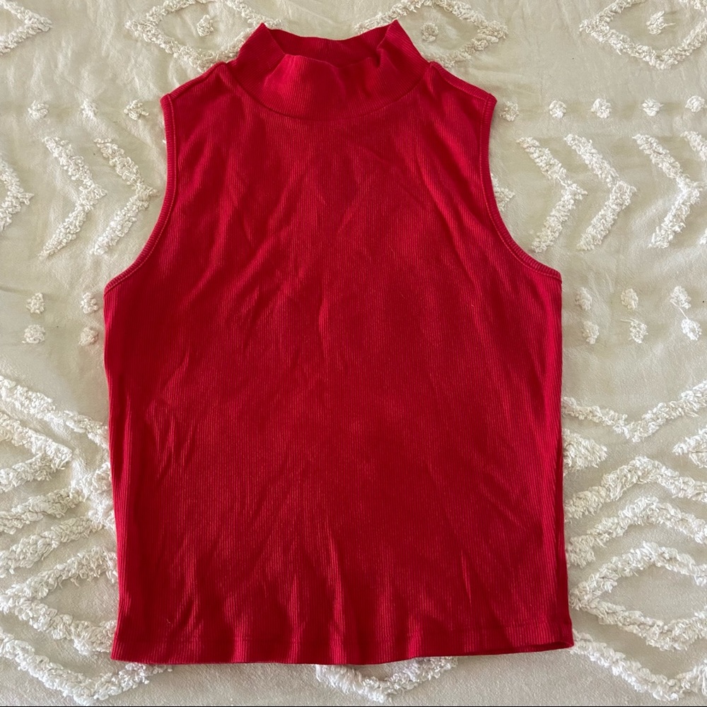 Red ribbed turtle tank